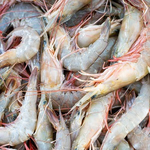 devein shrimp gog 1