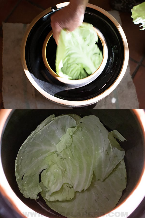 place cabbage leaves in crock pot