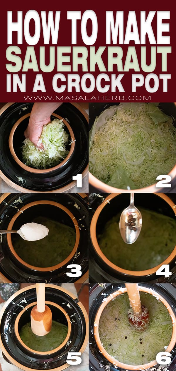prepare sauerkraut in a crock pot fermenter pin image