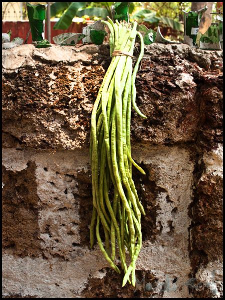 Iriel Bhaji - Yard long beans #stepbystep #recipe masalaherb.com