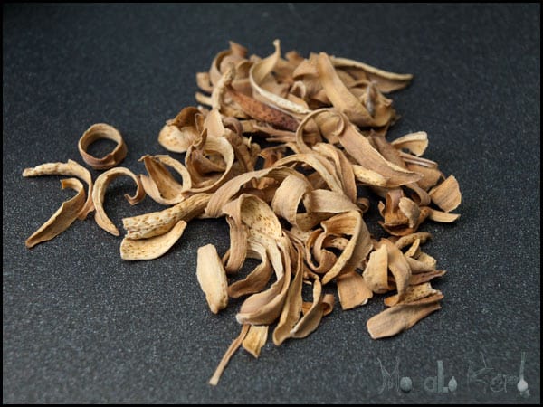 orange blossom  flower petals dried close up