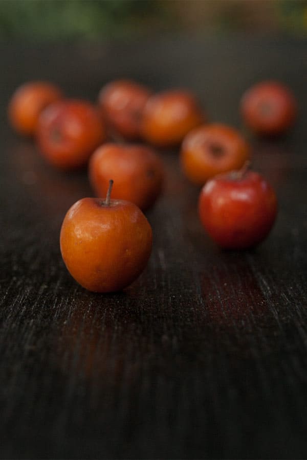 Jujube Dates - Tropical Fruits you didn't know existed!