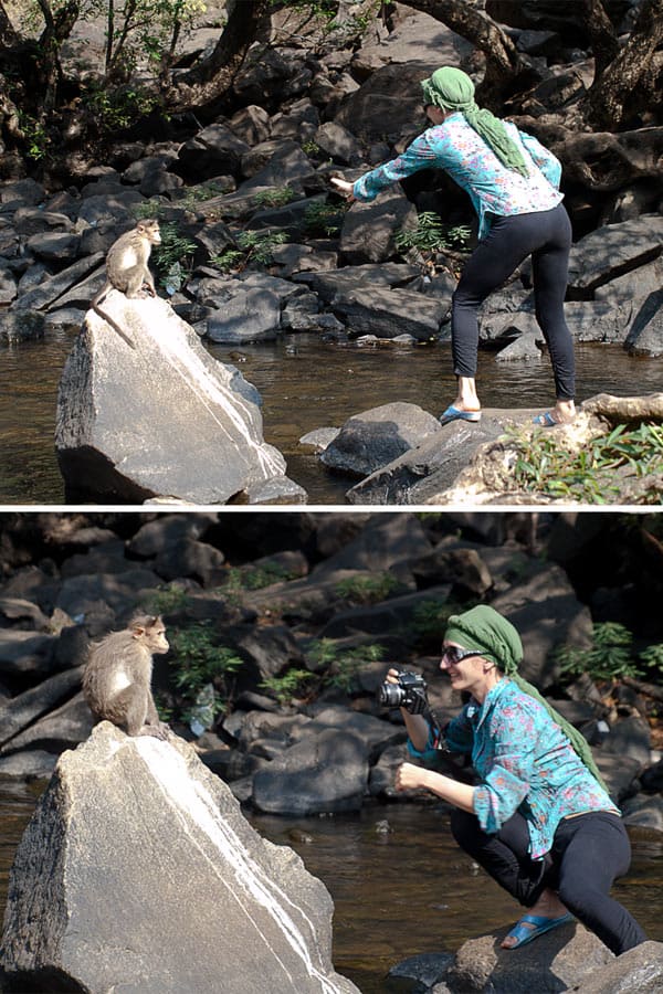  Dudhsagar Falls Goa India [+Pictures] the 300 m high water fall is situated in goa near the karnataka border in india in an UNESCO heritage area, Western ghats mountain range, natural reserve. I share how to get there, cost, if it; s worth it, what to look out for and more! www.Masalaherb.com #masalaherb #travel #india #goa