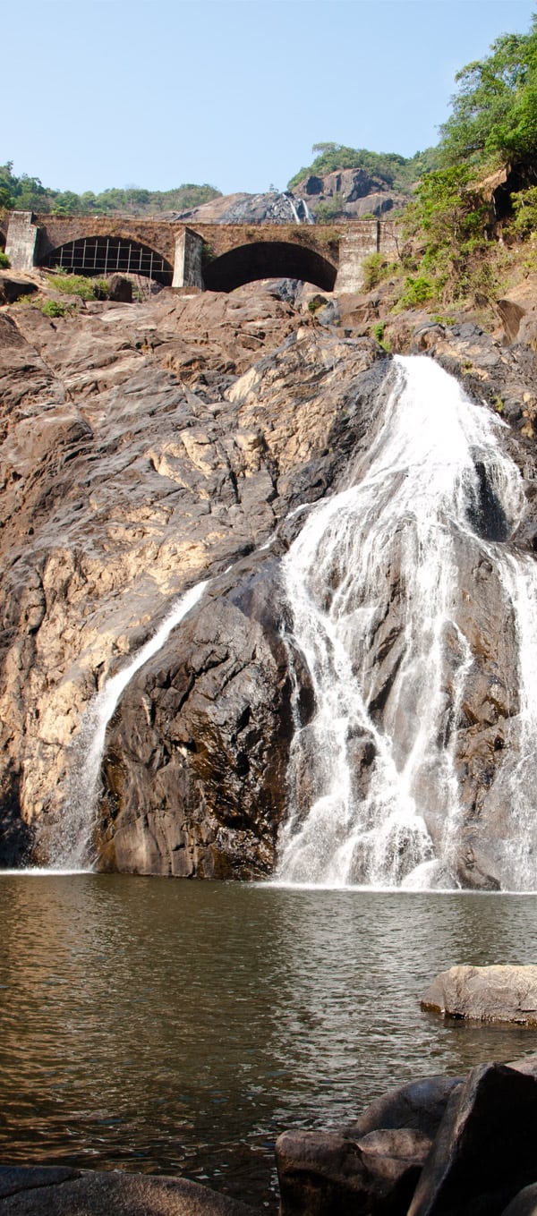 Dudhsagar Falls Goa India [+Pictures] the 300 m high water fall is situated in goa near the karnataka border in india in an UNESCO heritage area, Western ghats mountain range, natural reserve. I share how to get there, cost, if it; s worth it, what to look out for and more! www.Masalaherb.com #masalaherb #travel #india #goa
