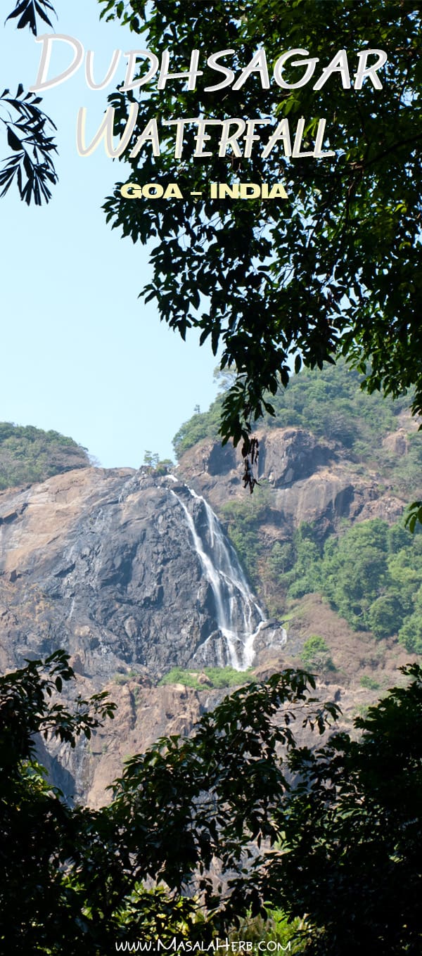 Dudhsagar Falls Goa India [+Pictures] the 300 m high water fall is situated in goa near the karnataka border in india in an UNESCO heritage area, Western ghats mountain range, natural reserve. I share how to get there, cost, if it; s worth it, what to look out for and more! www.Masalaherb.com #masalaherb #travel #india #goa