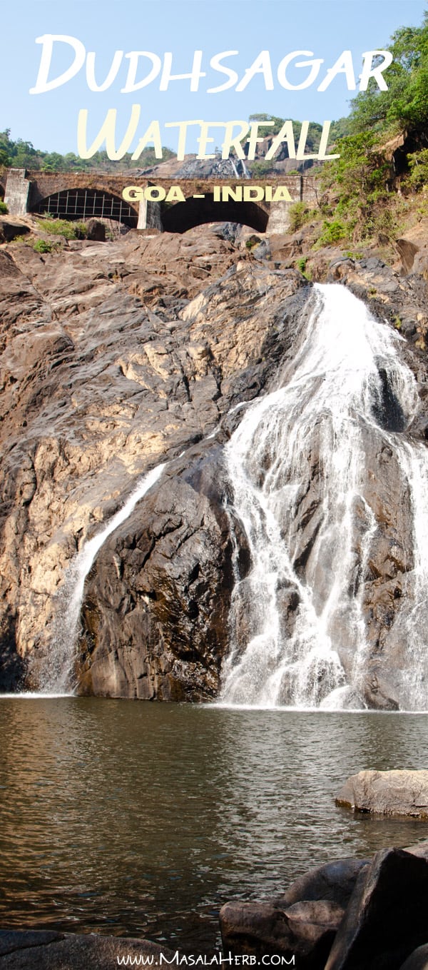 Dudhsagar Falls Goa India [+Pictures] the 300 m high water fall is situated in goa near the karnataka border in india in an UNESCO heritage area, Western ghats mountain range, natural reserve. I share how to get there, cost, if it; s worth it, what to look out for and more! www.Masalaherb.com #masalaherb #travel #india #goa