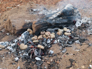 How to roast Cashews – Traditional Goan roasting of raw Cashews – The Caju Fruit