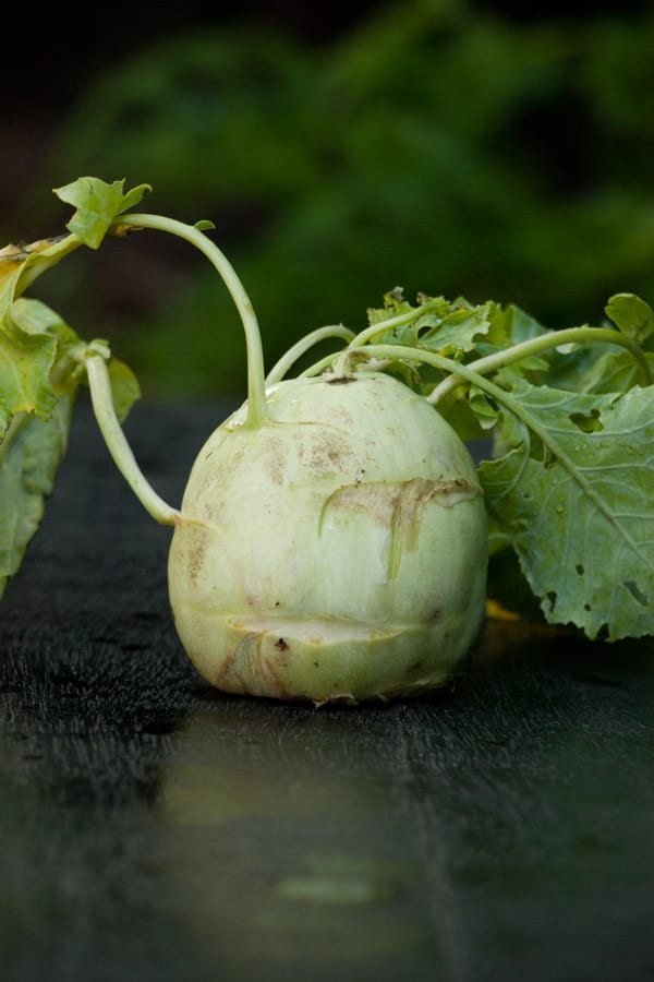 Mashed Potato & Kohlrabi http://masalaherb.com #stepbystep #recipe @masalaherb