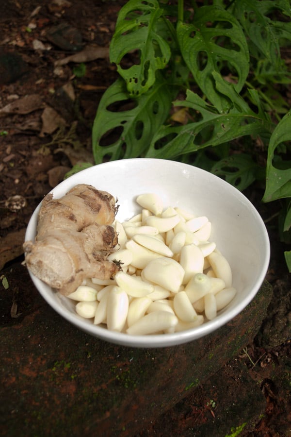fresh ginger unpeeled and peeled garlic in a white bowl sitting on the ground next to green creepers with holes