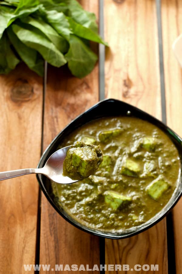 Palak Paneer Recipe - How to make Nutritious Indian Spinach Curry [Vegetarian] with indian cottage cheese. A creamy velvety green curry stuffed with proteins and gorgeous spices. You can make this palak paneer recipe easily at home with the how to and step by step instructions. www.MasalaHerb.com #curry #indian #healthy #masalaherb