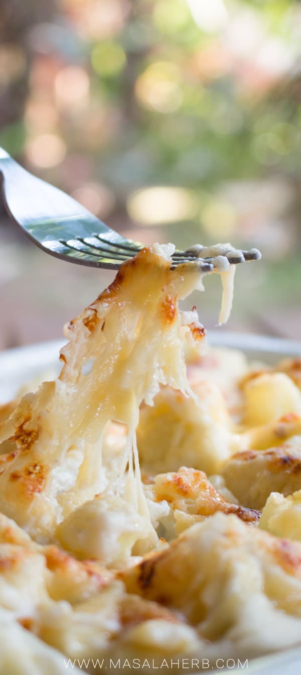 Roasted Cauliflower Mac and Cheese Casserole [Video]