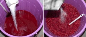 Red Currant Cordial Recipe - How to make Red Currant Syrup [no cooking!] without much effort easily at home www.masalaherb.com