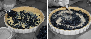 Blueberry Tart with Custard Recipe www.masalaherb.com french food diy fruit tart recipe