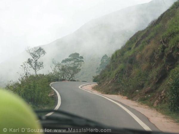 Traveling South India www.masalaherb.com mysty Western Ghat Mountain roads near Munnar tea plantation Kerala India