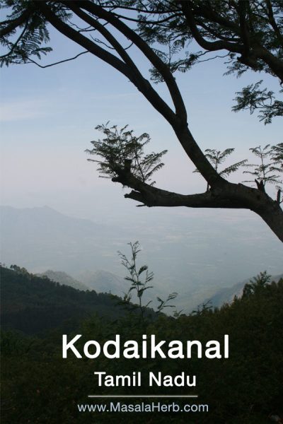 view from Kodaikanal into the valley south india www.masalaherb.com