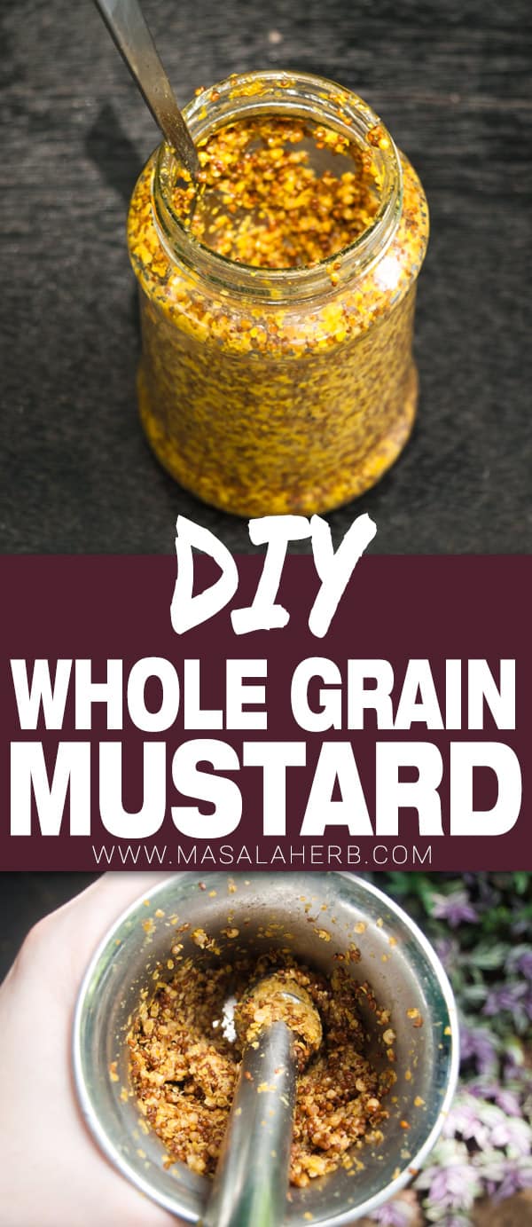 Whole grain Mustard Recipe - French Moutarde à l'ancienne [EASY DIY]