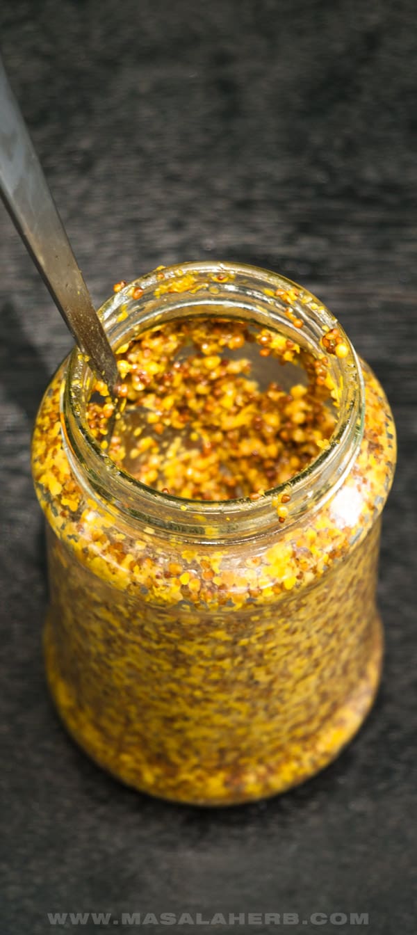 Whole grain Mustard Recipe - French Moutarde à l'ancienne [EASY DIY]