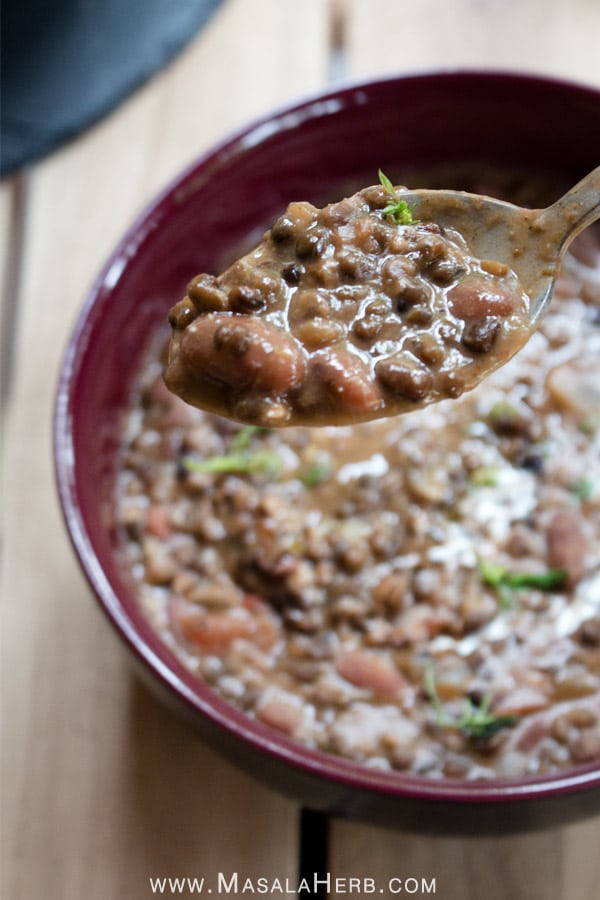 dal makhani beans in spoon close up