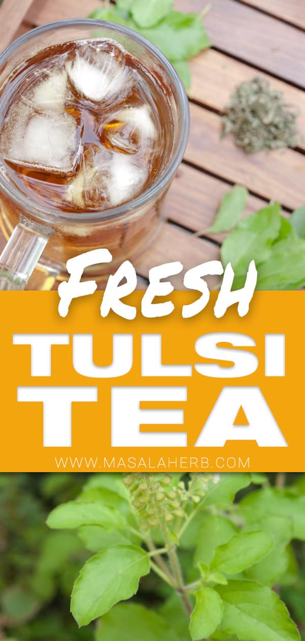 Fresh Tulsi Tea - Holy Basil