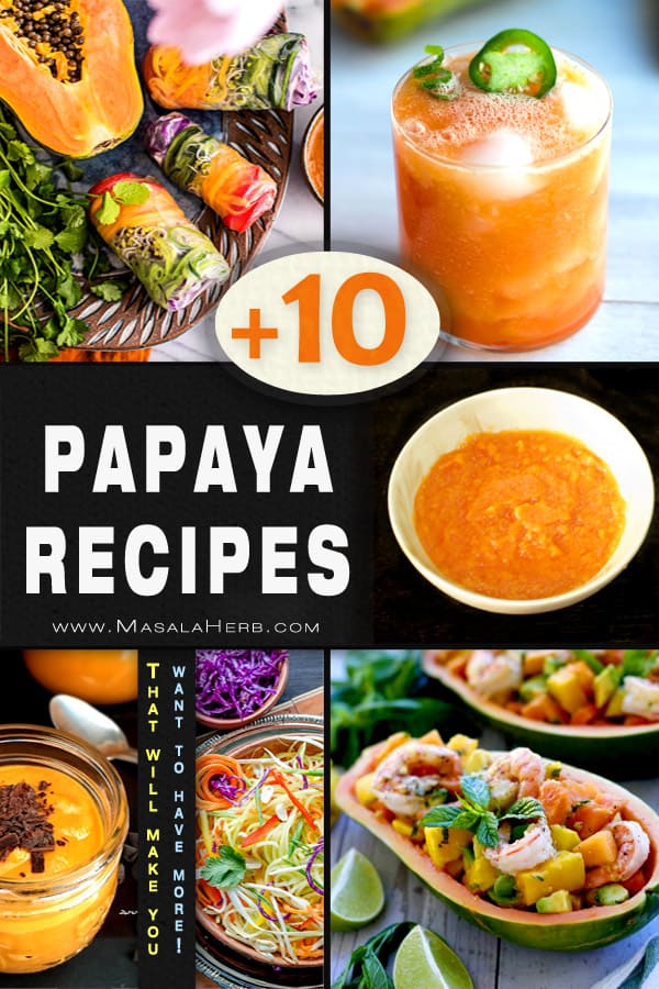 10+ Papaya Recipes that will make you want to have more! - savory sweet papaya recipe ideas, dessert, side dish, appetizer, salad www.MasalaHerb.com