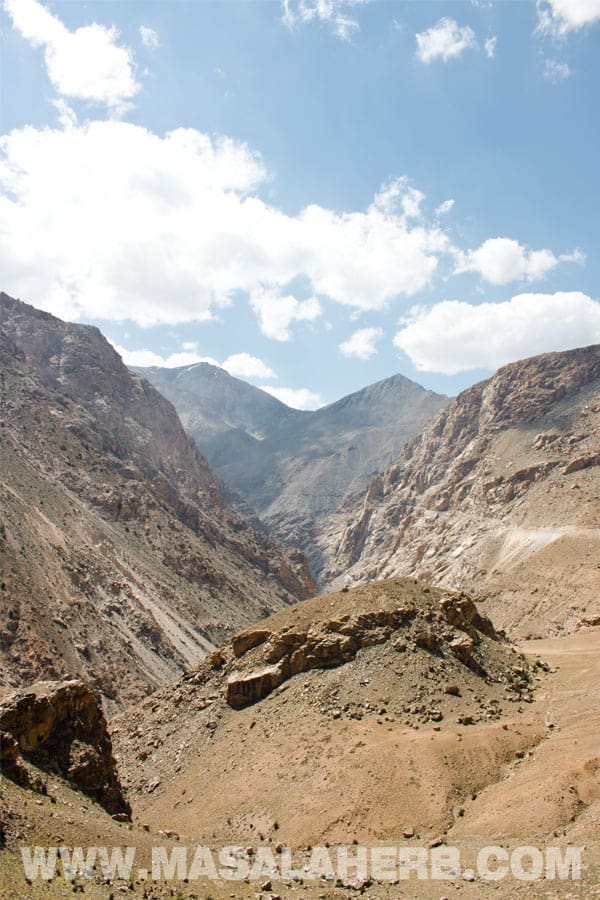 Kinnaur Road - Wickedly Sensational Himalayan Roadtrip VIDEO - Kinnaur to Spiti Valley NH22 Himachal Pradesh Himalayas. *Goa to Himalayas roadtrips series May/June 2017* @ www.MasalaHerb.com #travel #adventure #Howto