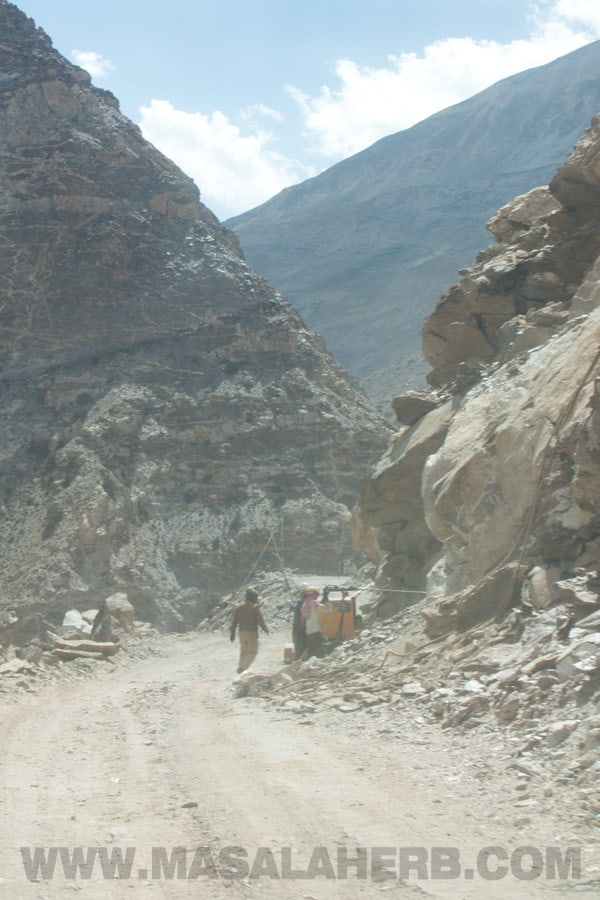 Kinnaur Road - Wickedly Sensational Himalayan Roadtrip VIDEO - Kinnaur to Spiti Valley NH22 Himachal Pradesh Himalayas. *Goa to Himalayas roadtrips series May/June 2017* @ www.MasalaHerb.com #travel #adventure #Howto