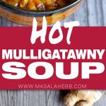 Mulligatawny Soup - How to make Mulligatawny Soup www.MasalaHerb.com #soup #spiced #masalaherb