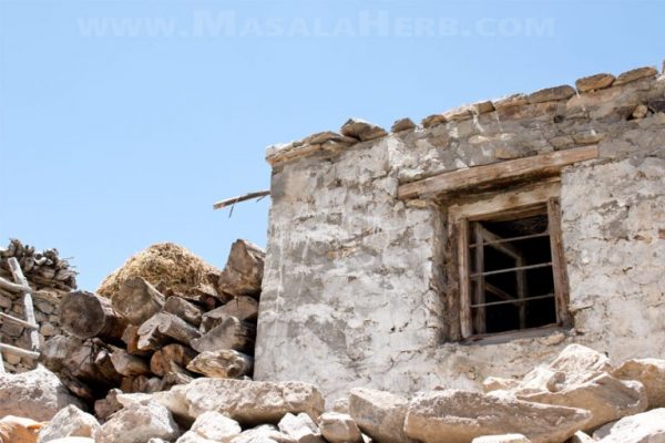 Nako - A Dream Village in the Himalayas - Kinnaur Himachal Pradesh India. We travled to Nako on our #roadtrip from Kinnaur to Spiti valley in 2017 and discovered the beauty of this medieval village next to the Tibetan Chinese border. #roadtrip #himalaya #village #india #masalaherb www.MasalaHerb.com