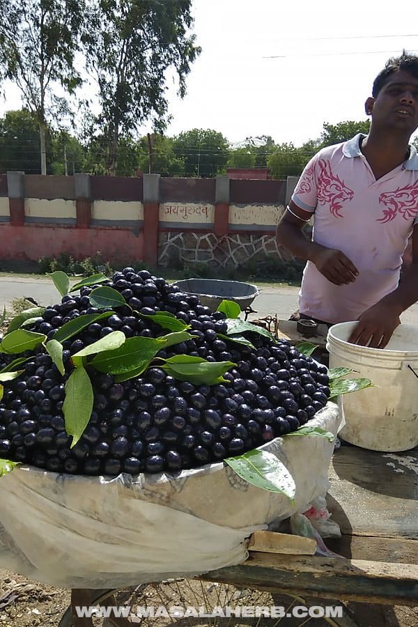 Java Plum - Tropical Fruits you didn't know existed! [List and pictures]