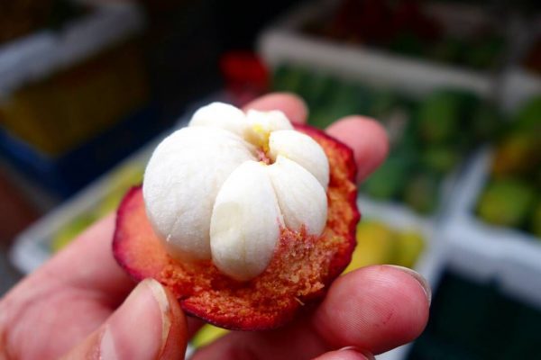 Mangosteen - Tropical Fruits you didn't know existed! [List and pictures] 