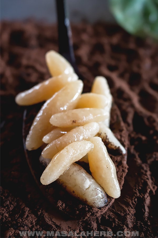 Gross Halloween Food Ideas For Adults gross-halloween-food-ideas-for-adults