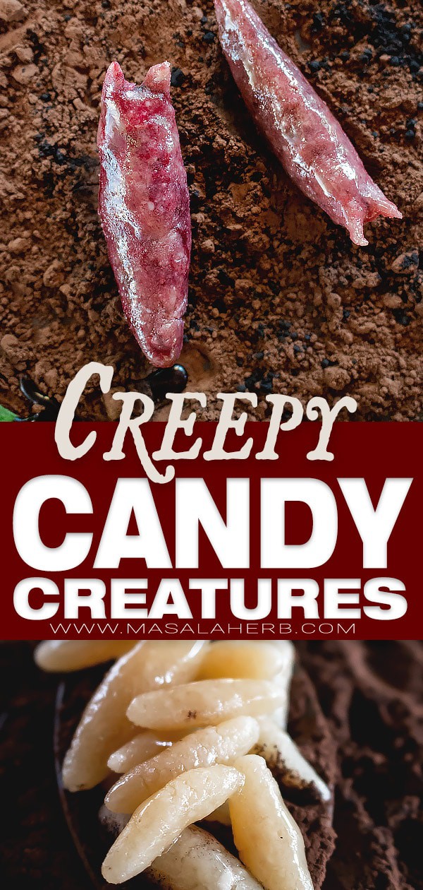 Creepy Halloween Candy Creatures with Marzipan