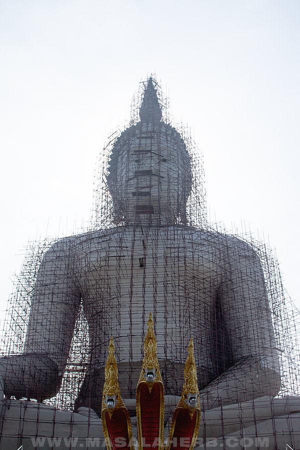 Ancient Ayutthaya Temples & Ang Thong, Thailand's Gold Basin [1 Day Bangkok Itinerary]