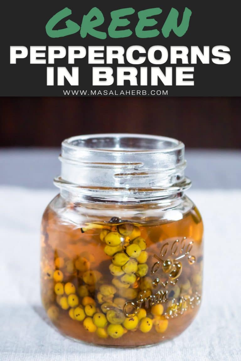 How to make Green Peppercorns in Brine 🌿