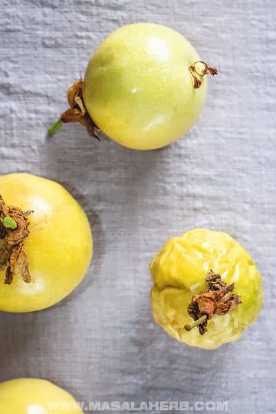 Picture of yellow Passion Fruit