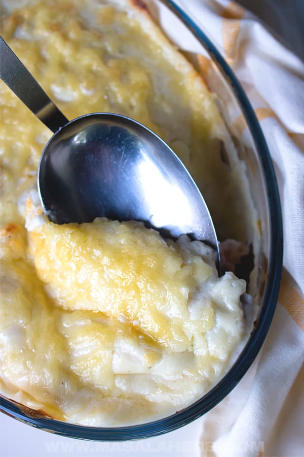 Belgian Endive Recipe au gratin [Endives au Jambon]