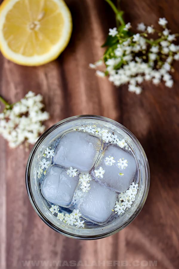 Lemon Gin Elderflower Cocktail Recipe