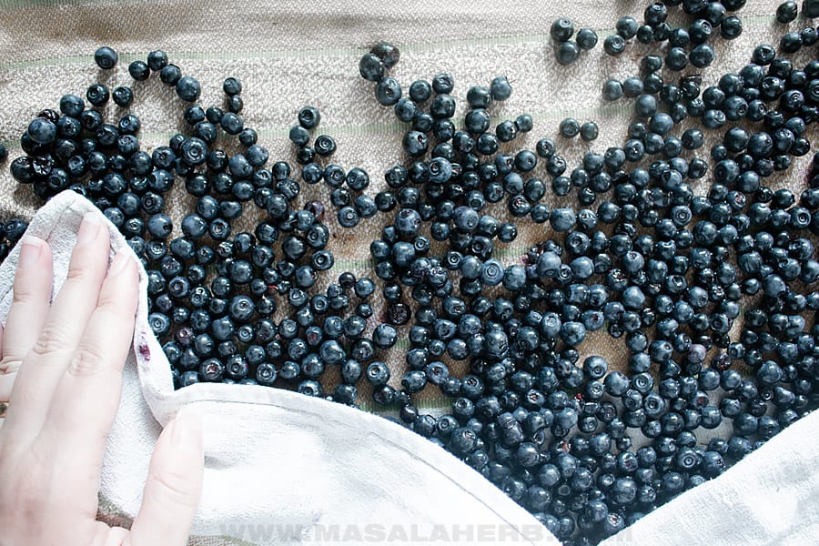 How to to make dehydrated blueberries