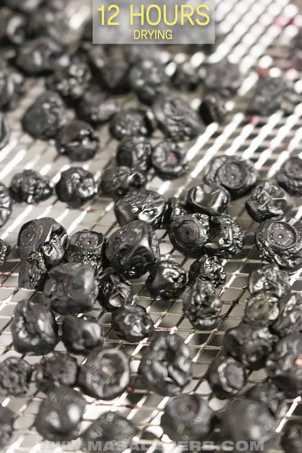 How to to make dehydrated blueberries