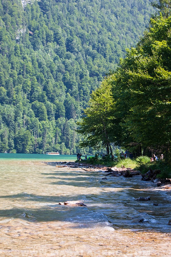 königssee lake and forest