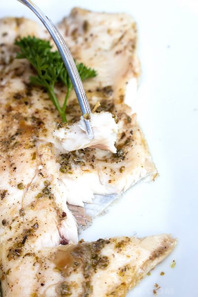 Pan Fried Trout Fillet Recipe
