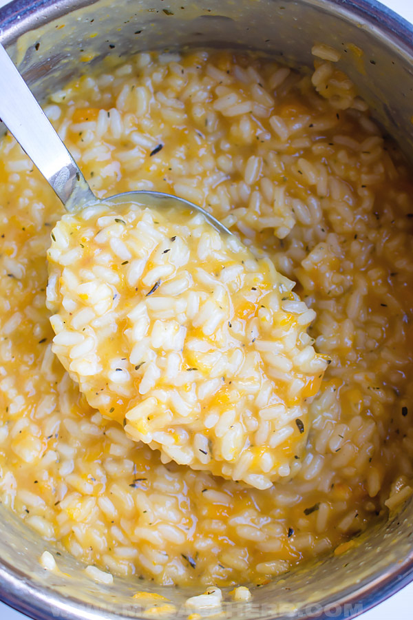how to make butternut squash risotto