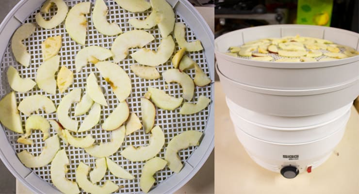 stack racks with apple slices over food dehydrator