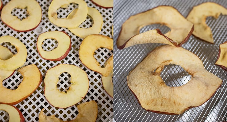 dehydrate apple slices