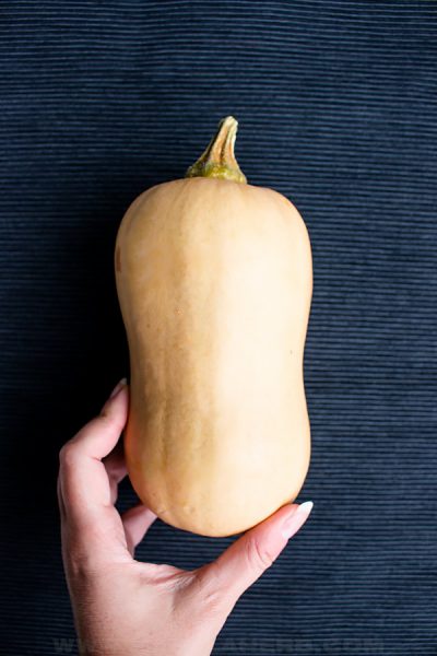 butternut squash in picture