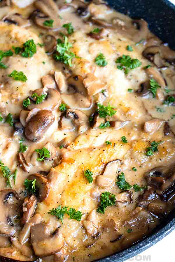 chicken marsala photo