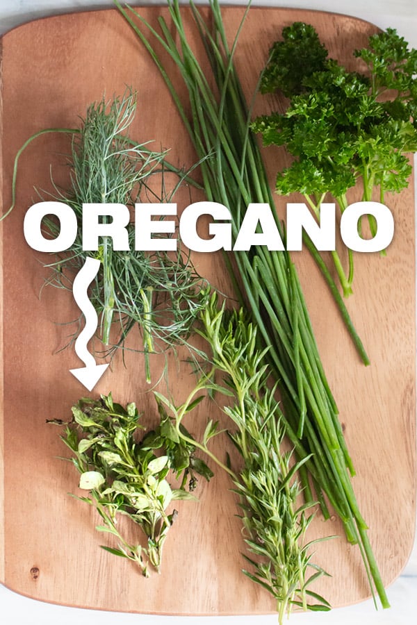 various herbs with fresh oregano
