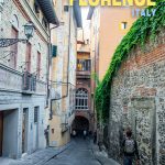 Florence guide pin image