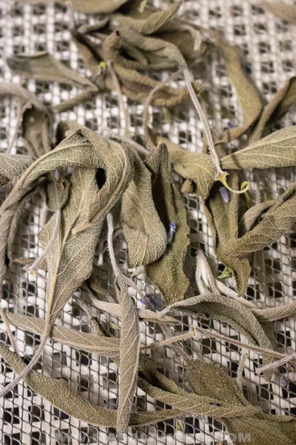 dried sage