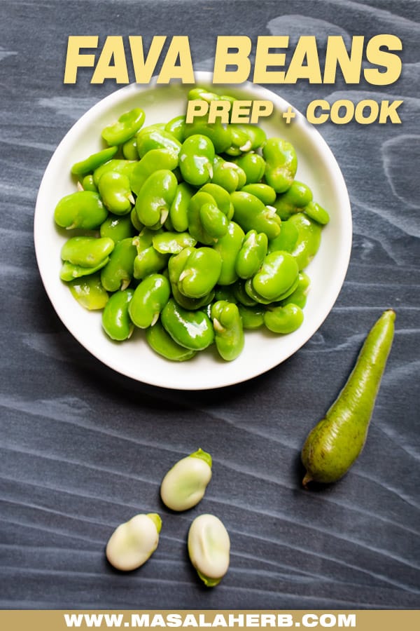 Fava Beans How To Prep Cook And Store Them Masalaherb Com